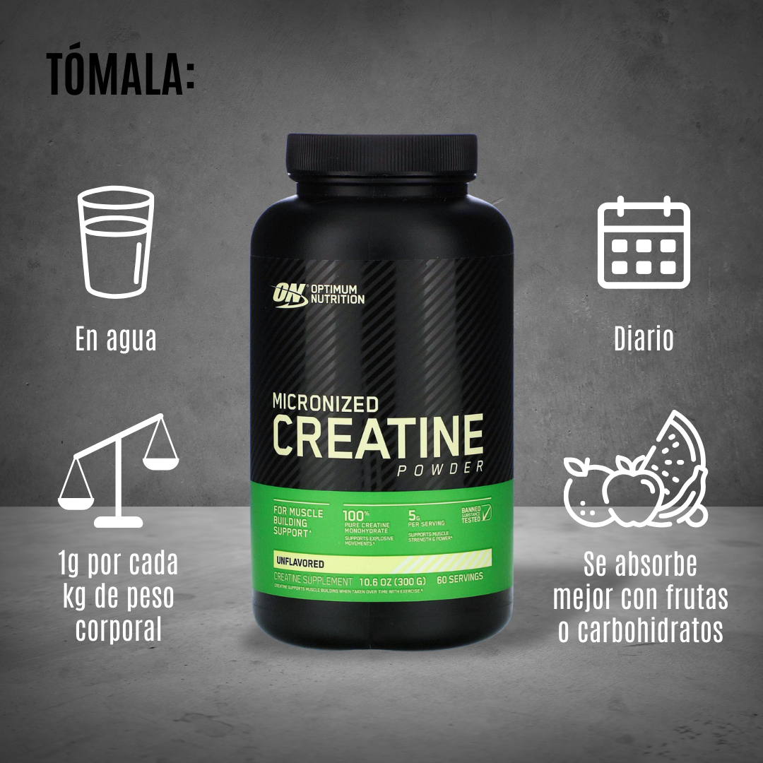 CREATINE POWDER MICRONIZADA 300 GRS 60 SERV ON