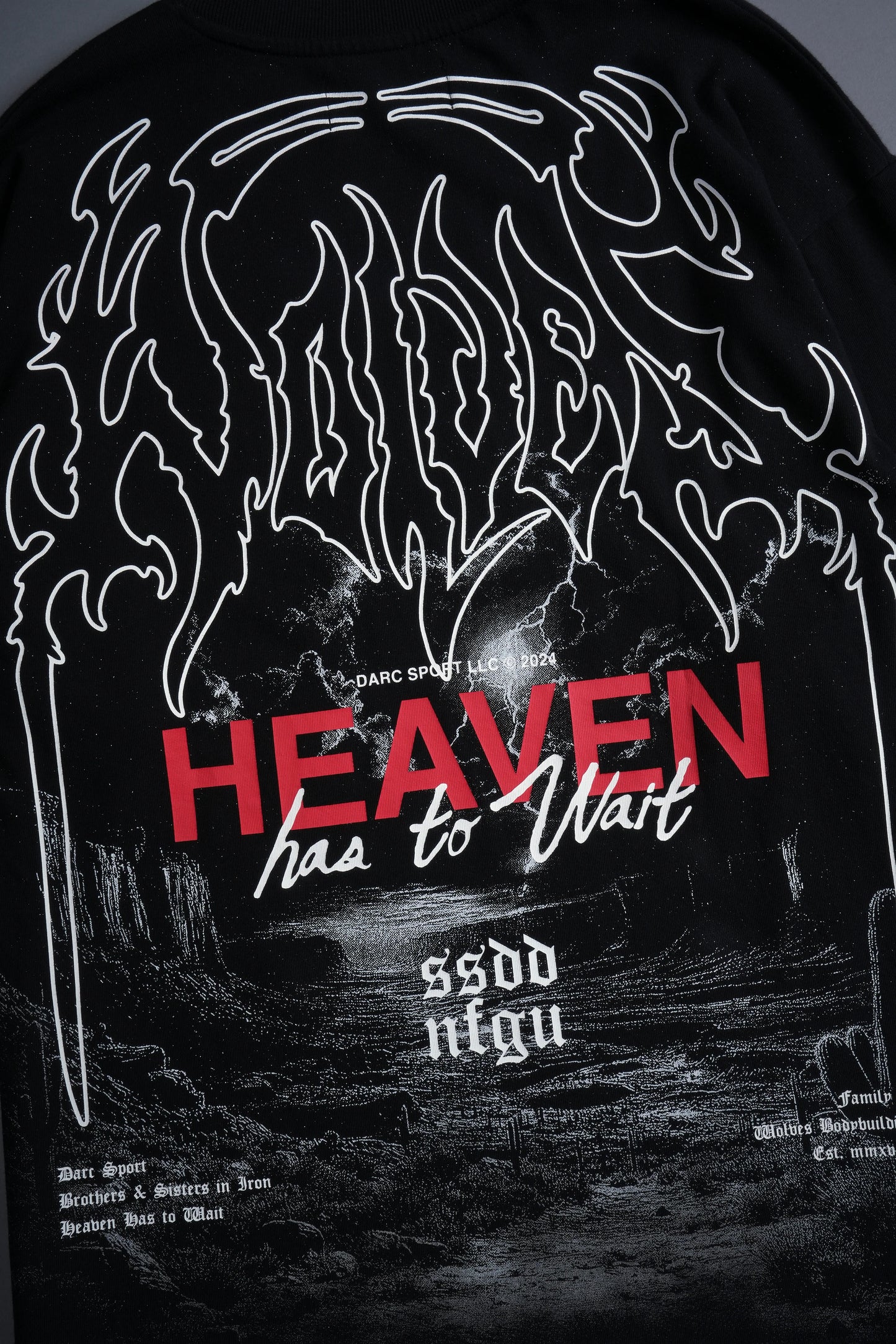 OUR PATH "PREMIUM" OVERSIZED TEE