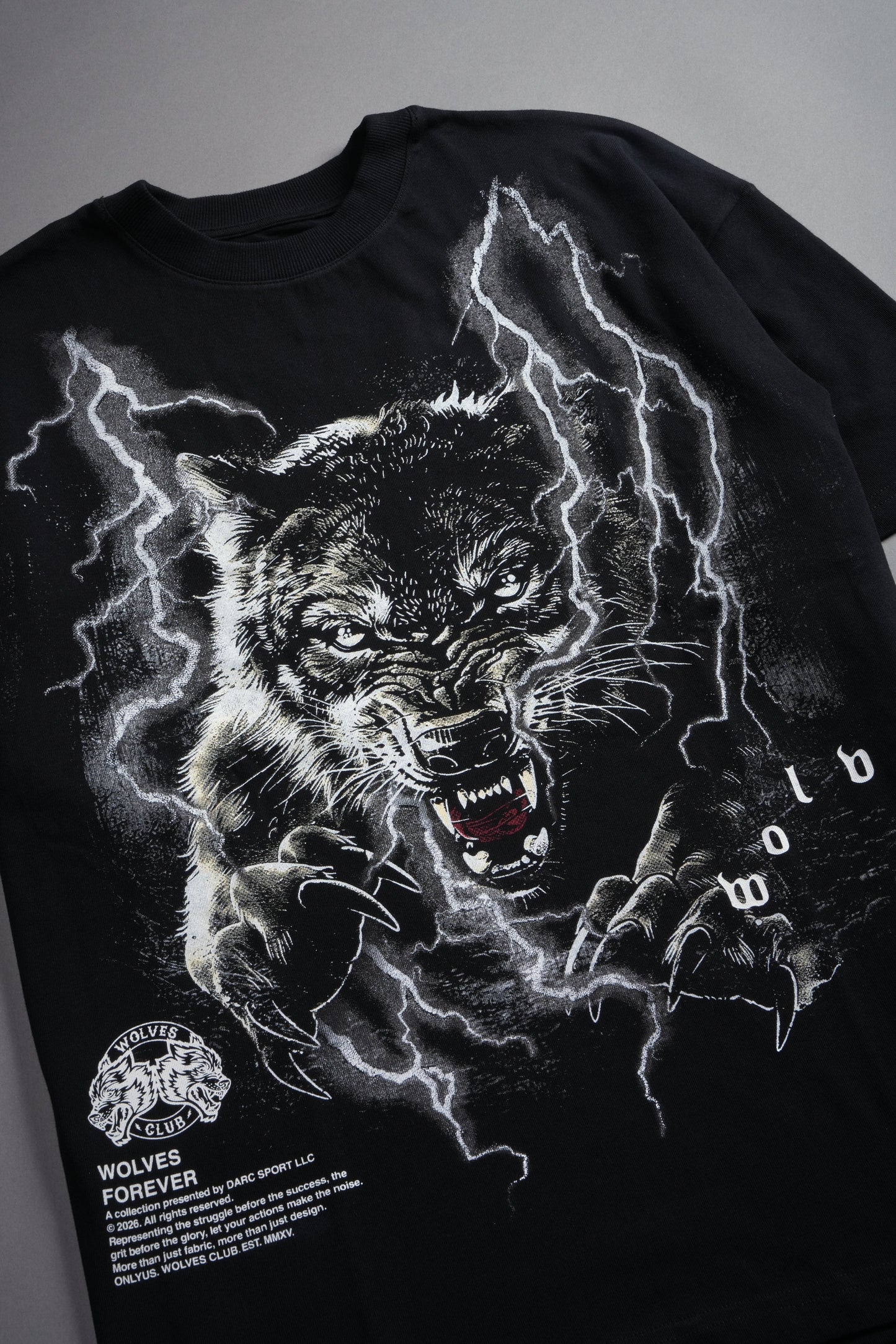 TRUST YOUR JOURNEY "PREMIUM" OVERSIZED TEE