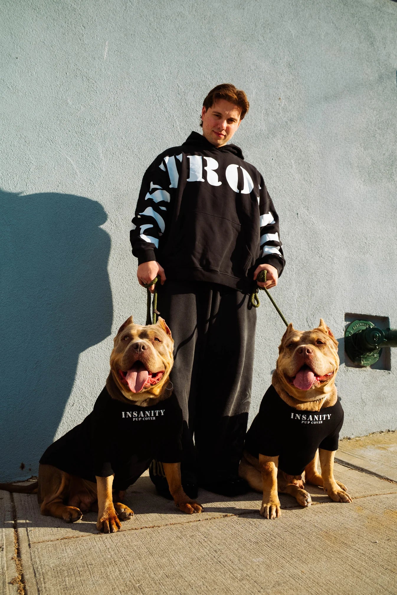 PUP COVER
