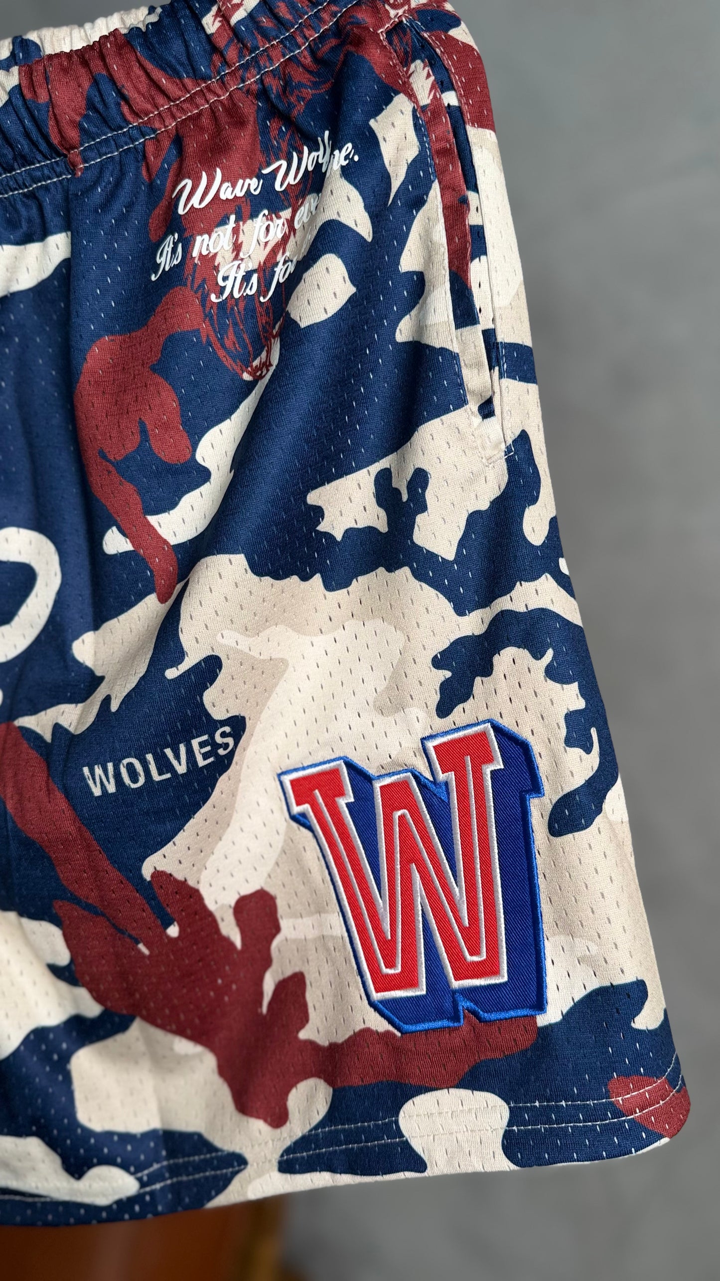 SINK OR SWIM MESH SHORTS