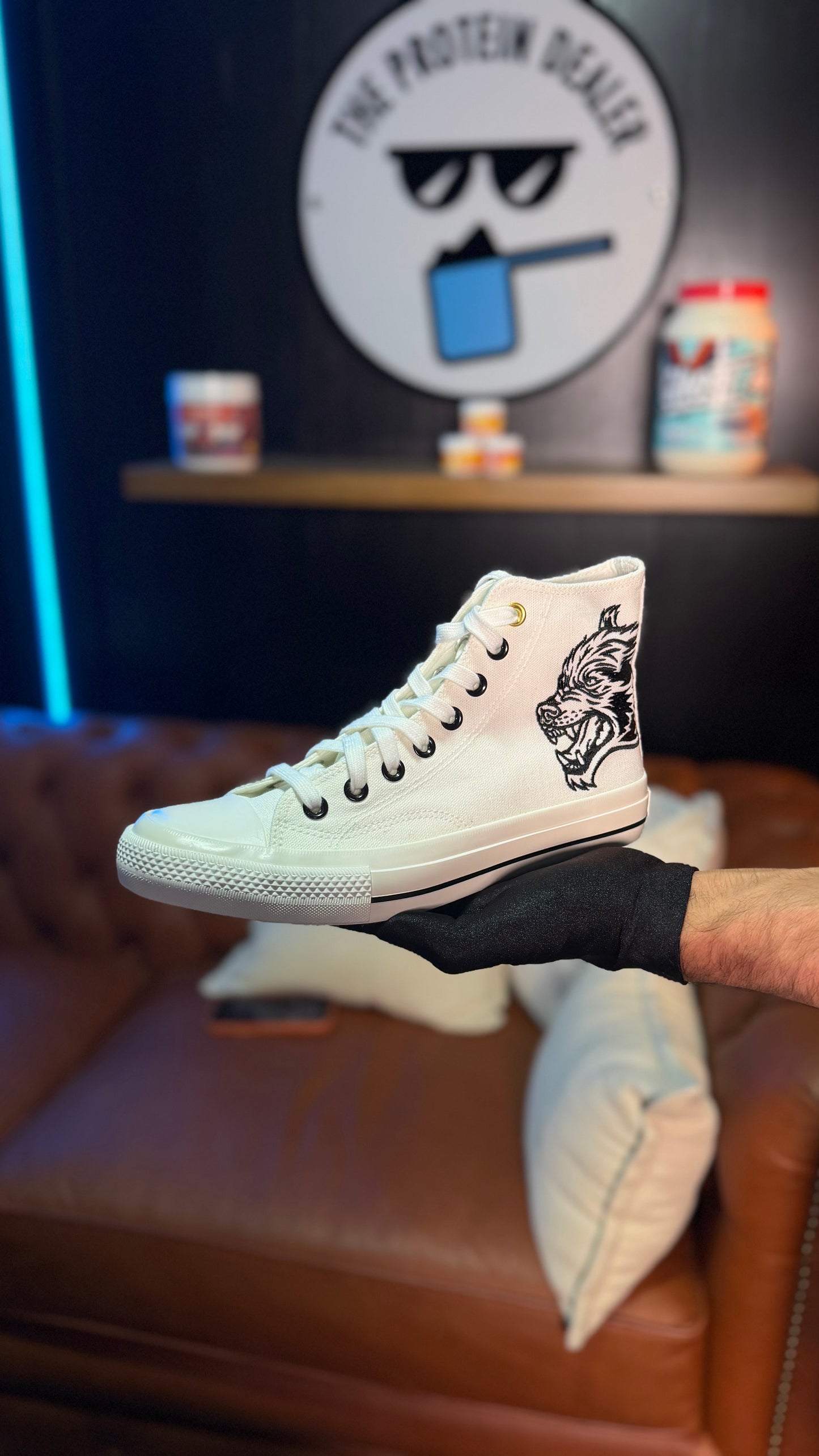 EMBROIDERED W1 DIOS HIGH TOP SHOES