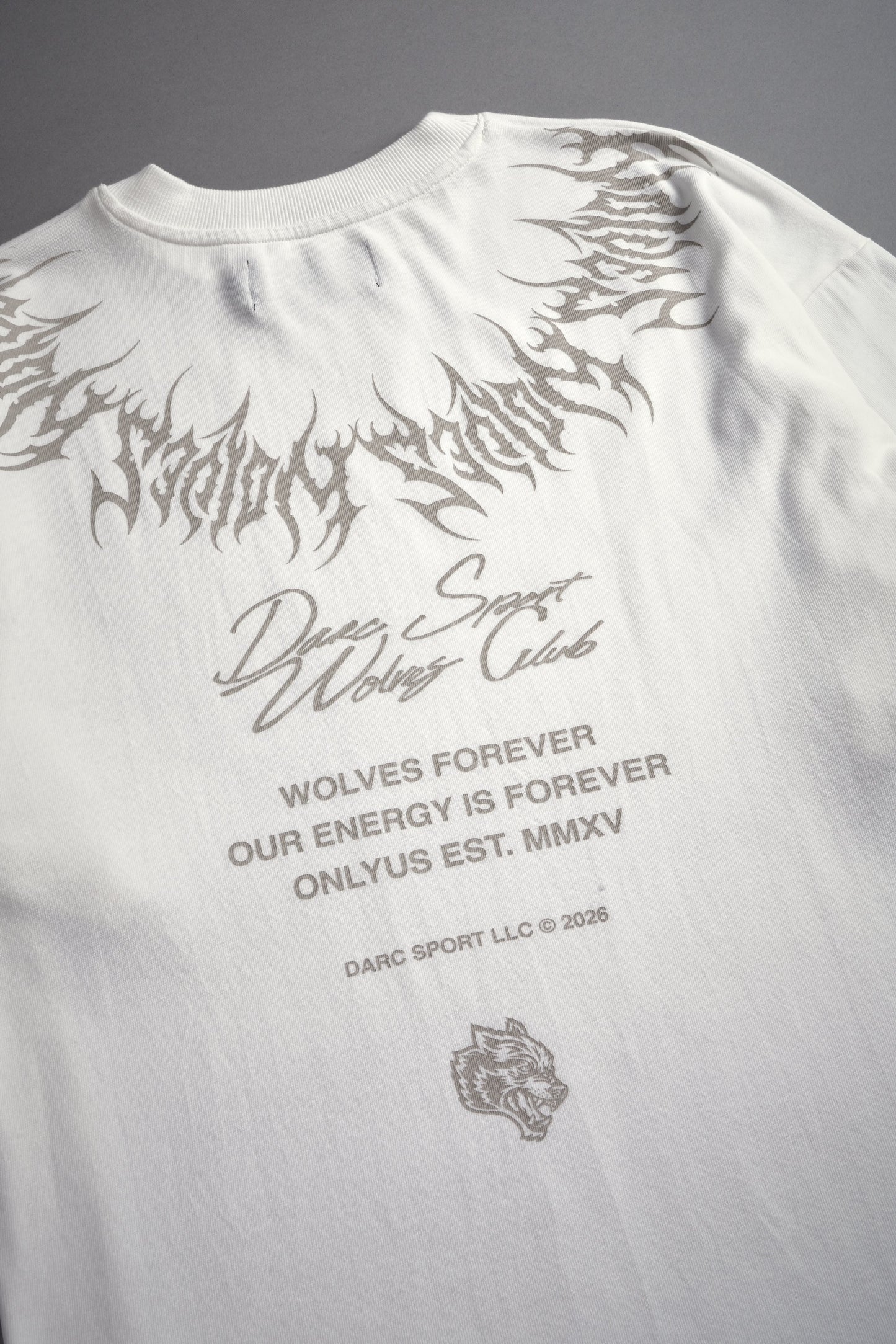 HESH CORE V2 "PREMIUM" OVERSIZED TEE