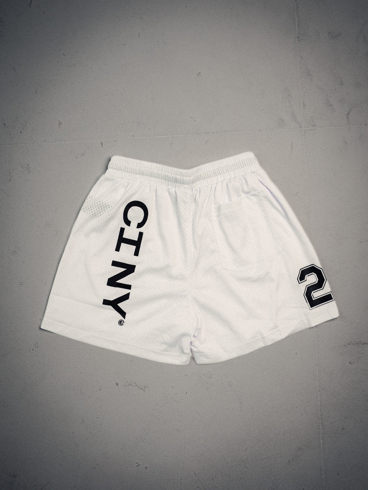 NY MESH SHORTS