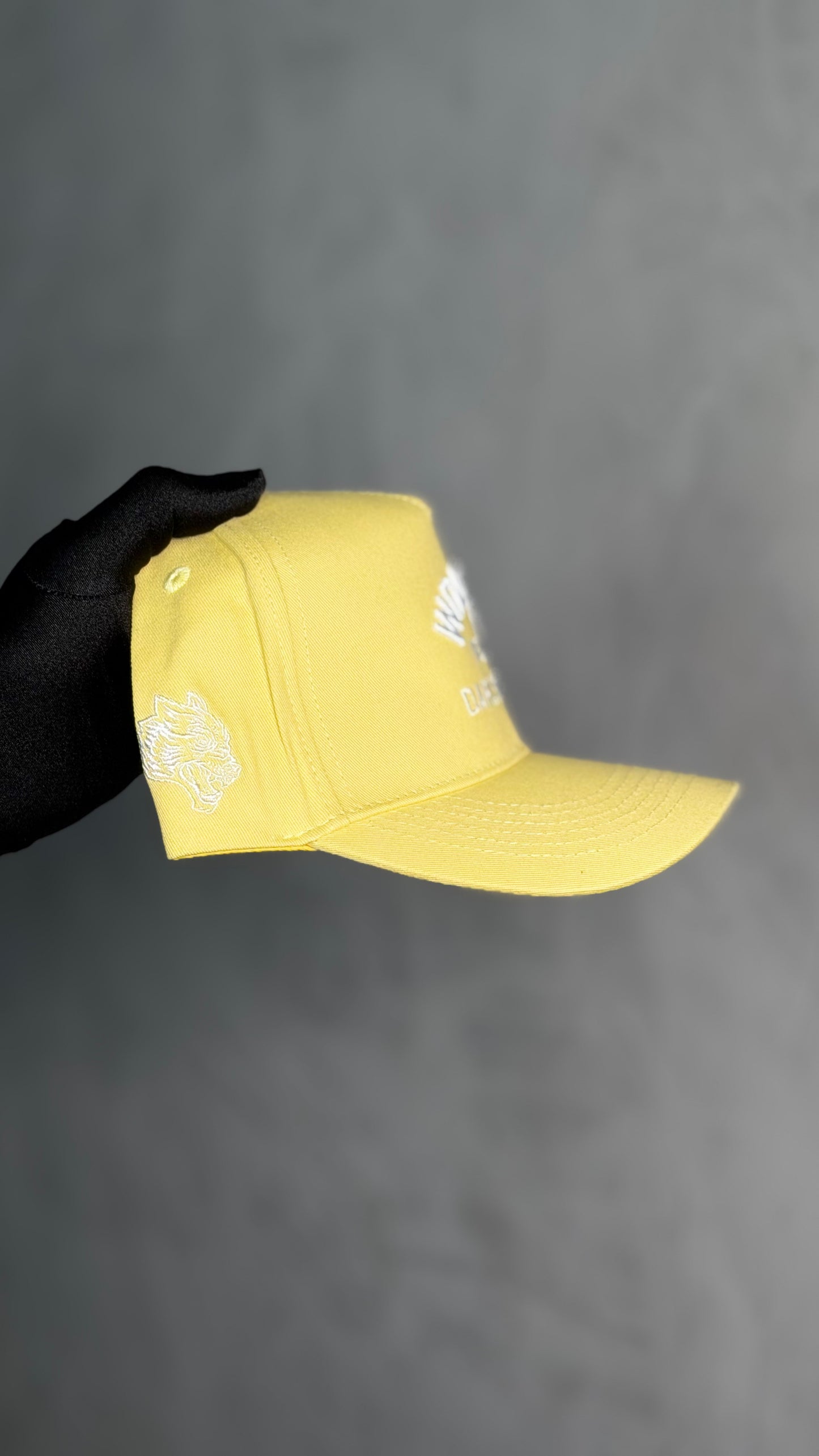 OUR LIFE 5 PANEL HAT