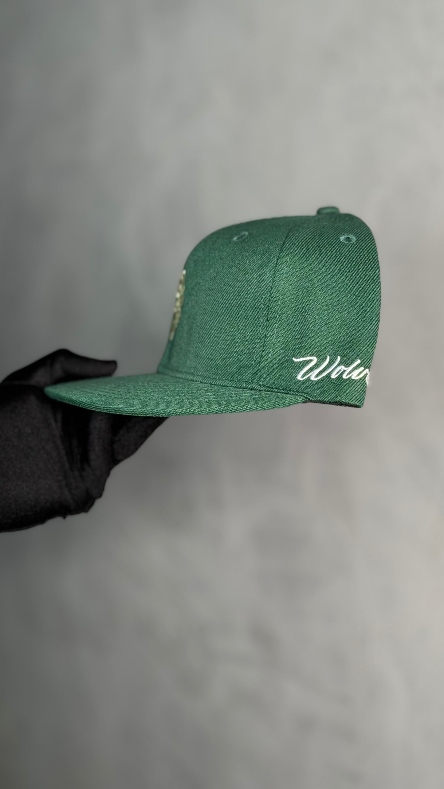 WOLF HEAD FITTED CAP