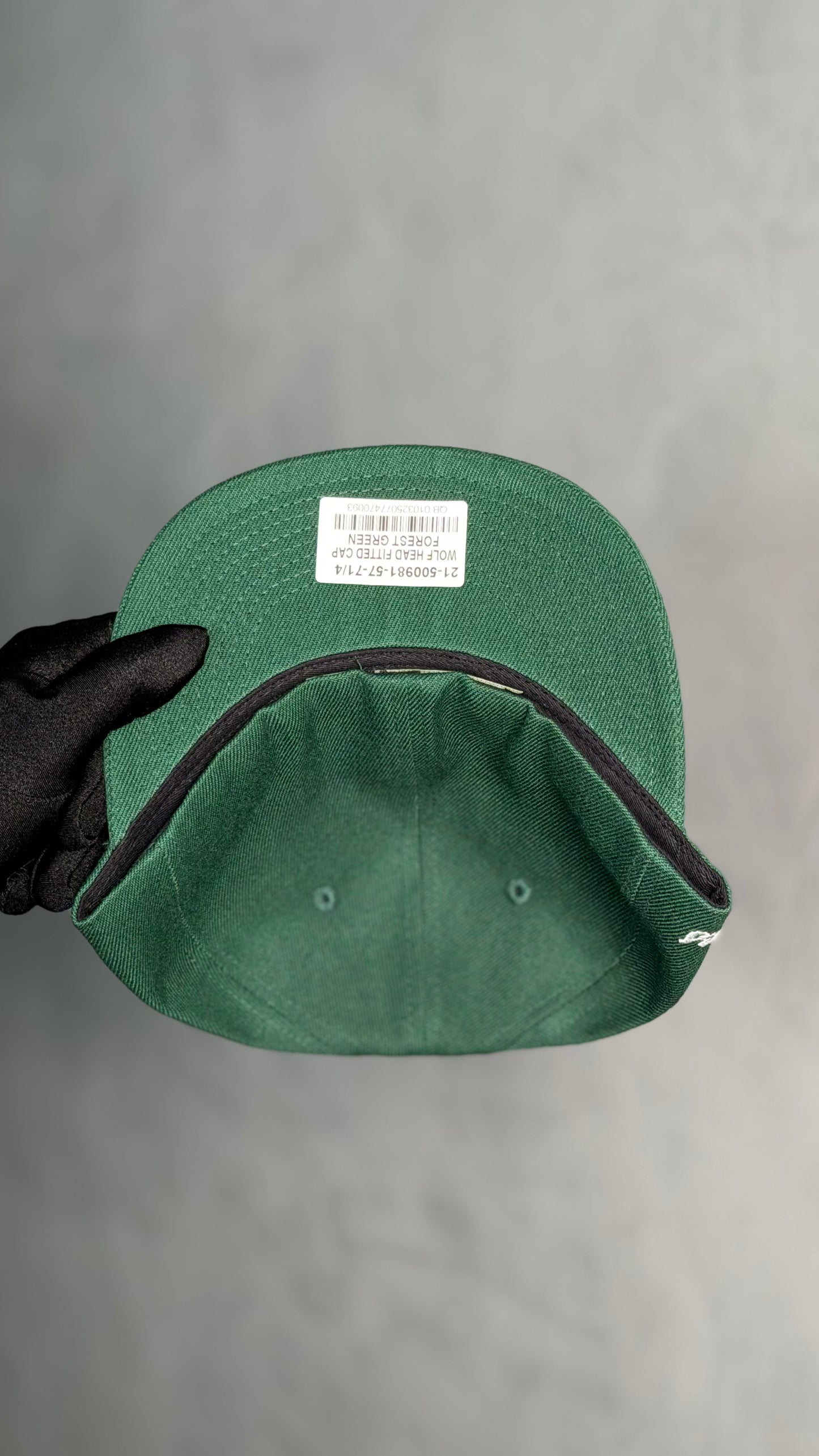 WOLF HEAD FITTED CAP