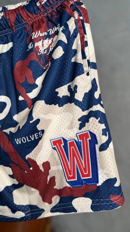 SINK OR SWIM MESH SHORTS