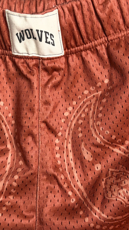 SOUTH WEST PAISLEY PATCH LIAM MESH SHORTS