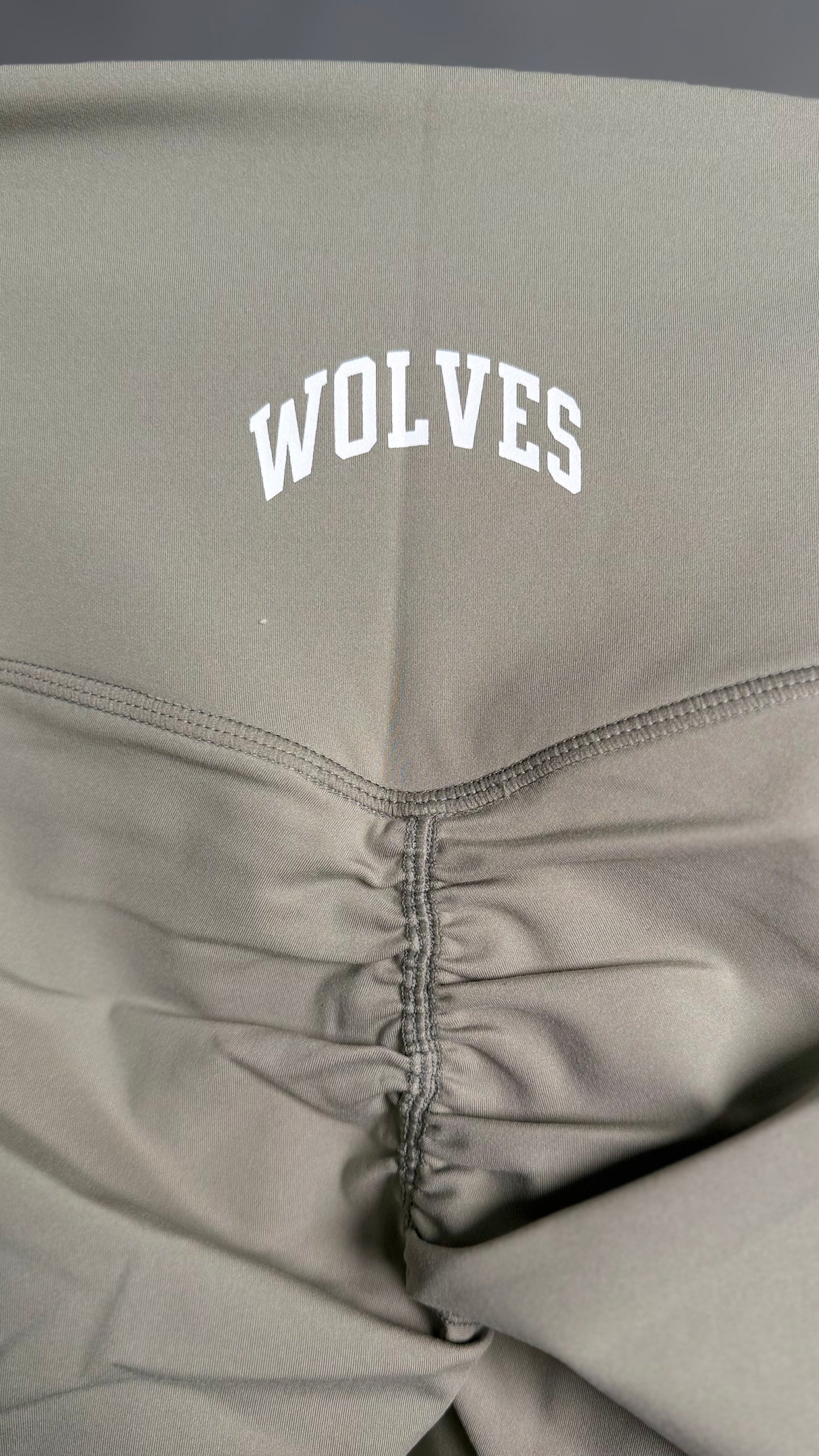 LOYALTY V2 PUMP ENERGY SHORTS