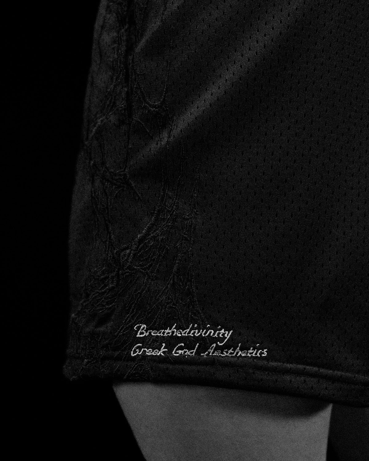 ECLIPSE EMBROIDERY BODYBUILDING MESH SHORTS (AUG)